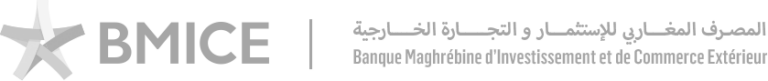 BMICE - Maghreb & North-African Development Finance Institution